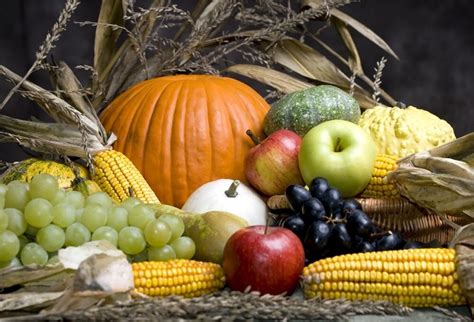 Laeacco Autumn Harvest Season Fruits And Vegetables Photographic