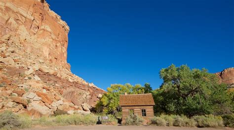 Fruita Turismo Qué Visitar En Fruita Torrey 2024 Viaja Con Expedia