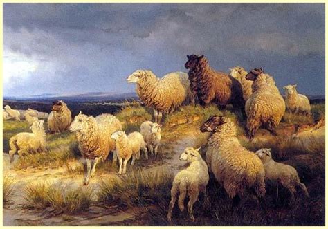 Master Of The Sheepfold