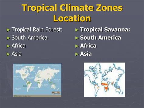 Ppt Climate Zones And Vegetation Powerpoint Presentation Free