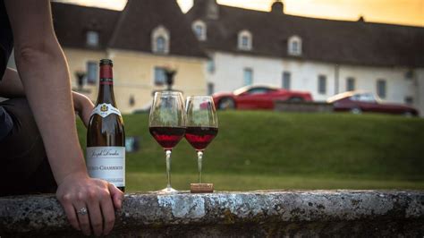 5 Famous French Wines To Try Out