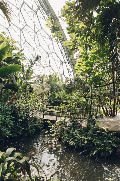 The Eden Project — Rainforest Biome — Haarkon