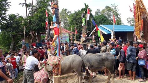 Ritual Tiwah Tradisi Adat Khas Suku Dayak Kalimantan Inibaru Indonesia