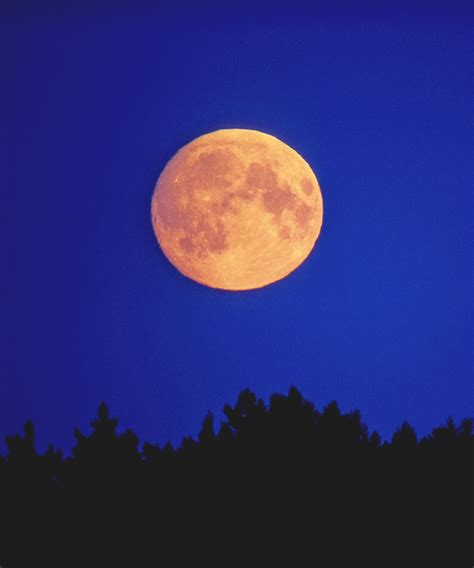 Free Photo Full Moon Evening Full Landscape Free Download Jooinn