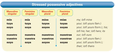 Spanish Unit Stressed Possessive Adjective And Pronouns Flashcards Quizlet