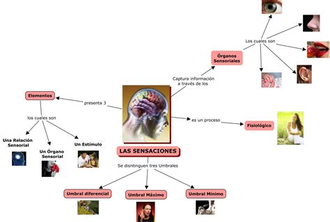 Enrrique Rodriquez Mapa Mental De La Sensacion