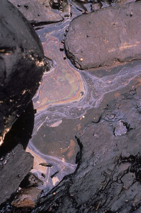 Exxon Valdez Oil Spill Counterspill