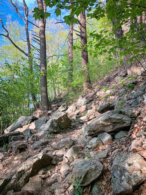 Storm King Mountain Hike The Hudson Highlands