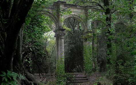 Forest Ruins Art Id 7086