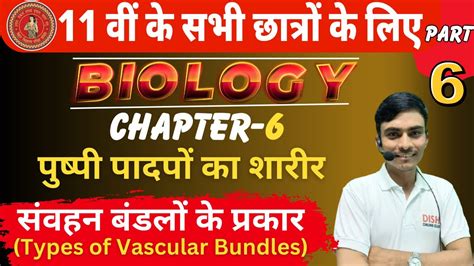 संवहन बंडलों के प्रकार Class 11th Biology Chapter 6 Types Of