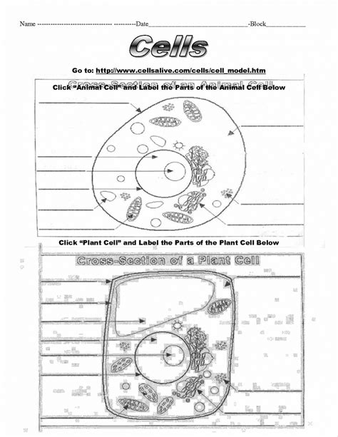 Plant Cell Labelling Worksheets