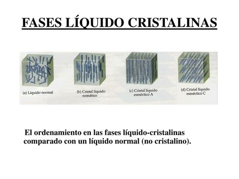 Ppt Cristales LÍquidos Powerpoint Presentation Free Download Id