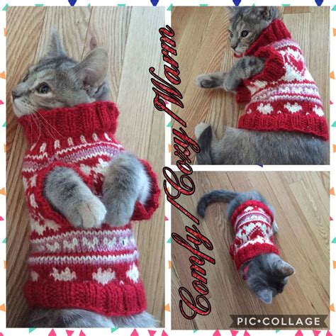 Img0498 Cat Sweater Knitting Pattern Cat Hat Pattern Free Knitting