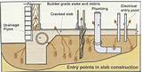 Pictures of Pre Construction Termite Treatment Procedure