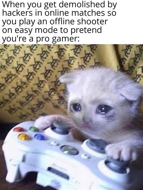 The Pain Is Real Sad Gaming Cat Cat On Xbox Know Your Meme