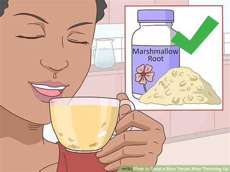 5 Ways To Treat A Sore Throat After Throwing Up Wikihow