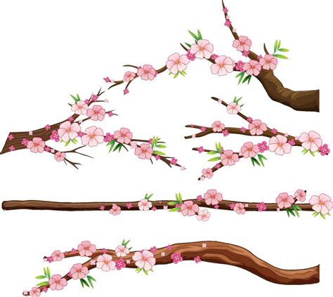 Cherry Blossom Branch Isolated 9202085 Vector Art At Vecteezy