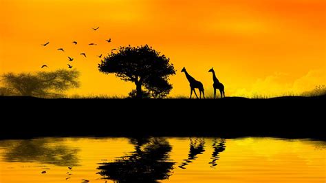 Download Africa 4k Wallpaper Top Background By Jacobsandoval