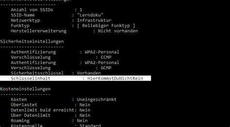 Cmd Wlan Passwort Anzeigen