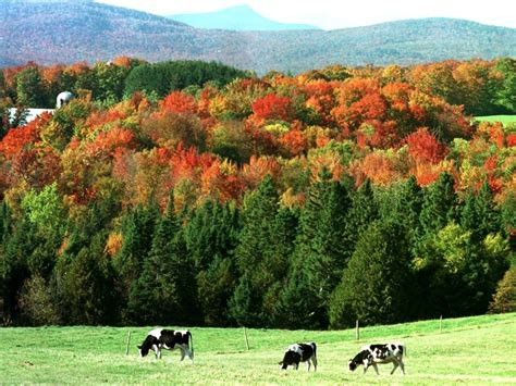 Fall Foliage Peak Map 2019 When To See Leaves At Most Stunning
