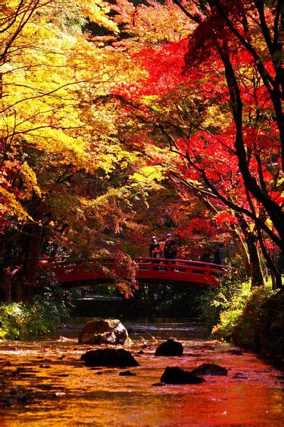 Lifeisverybeautiful Shizuoka Japan Via Ganref Autumn Autumn Scenery Japanese