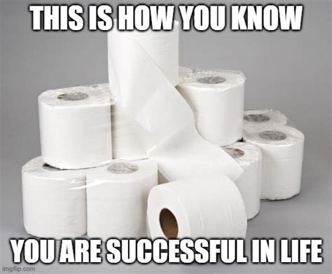 Toilet Paper Imgflip