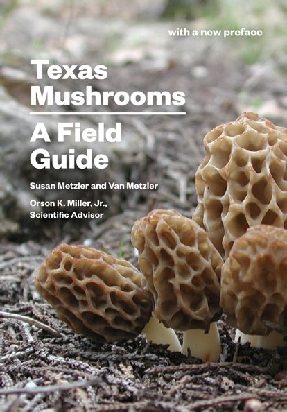 A Comprehensive List Of Common Wild Mushrooms In Texas