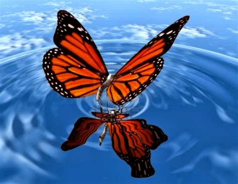 3d Butterfly Wallpaper Download 3d Beautiful Wallpaper For Mobile Phone