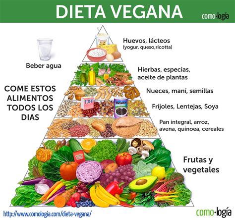 Dieta Vegana Adelgazar Rápido Barato Y Saludablemente