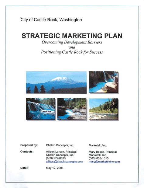 Month Real Estate Marketing Plan Examples Format Pdf Examples