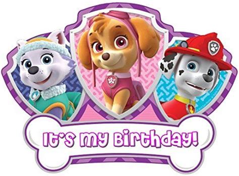 Paw Patrol Birthday Girl For Light Colored Materials Everest Skye