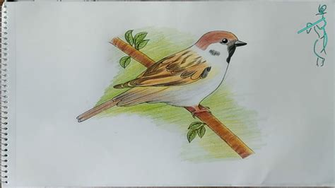 Very Easy Way To Draw Sparrow Sketch How To Draw A Bird Step By Step