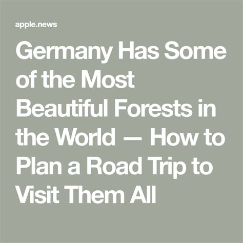 Germany Has Some Of The Most Beautiful Forests In The World — How To