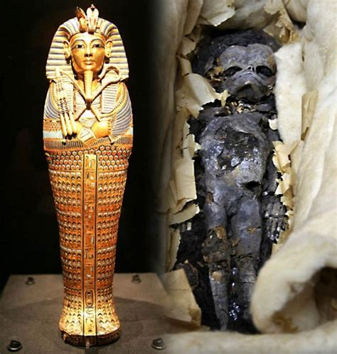Foetuses Found In King Tutankhamuns Tomb Were His Twin Daughters