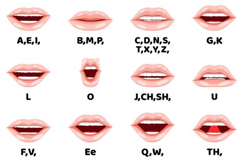 Cartoon Character Lip Sync Animation Set For Animation And Sound Pronunciation With Emotion And