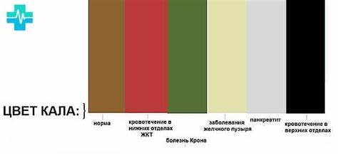Темный кал при диете