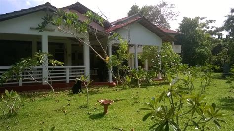 For Sale Rolling Sixteen Acres In Weligama Sri Lanka With Option On