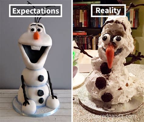 Expectations Vs Reality 10 Of The Worst Cake Fails Ever Bored Panda