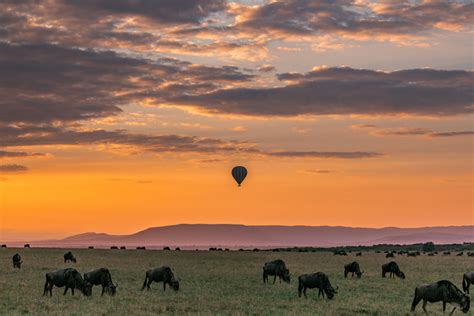 Maasai Mara National Park Reserve Magicalkenya Sunset And Sunrise