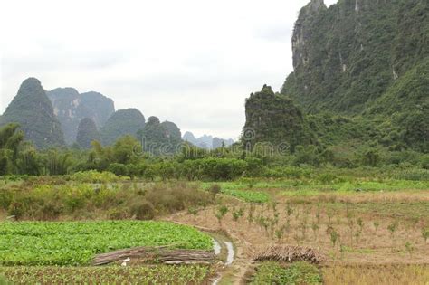 Karst Mountains Between Yangshuo And Guilin In China Stock Image