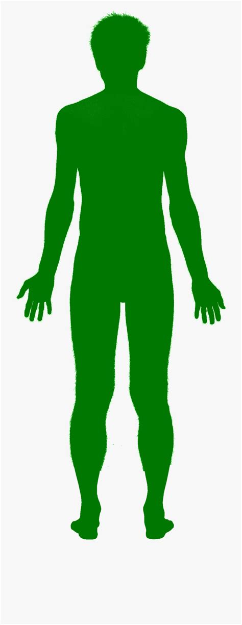 Human Body Clipart Silhouette - Human Body Outline Png , Transparent ...