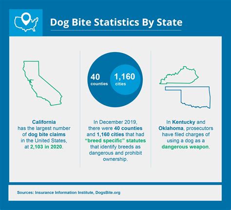 Dog Bite Statistics And State Laws