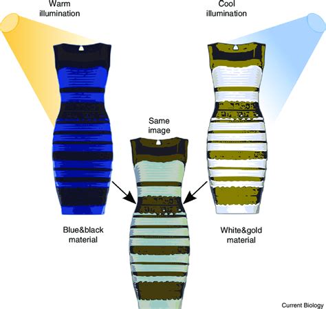 The Colour Constancy Explanation For Thedress The Image Formed On The