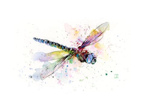 Dragonfly Watercolor Print Dragonfly Painting Insect Art Etsy