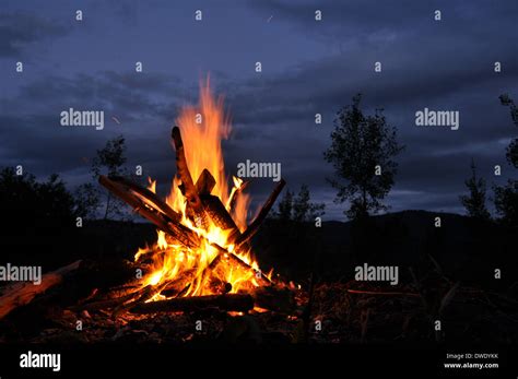 Bonfire Campfire In The Forest Dusk Stock Photo Alamy