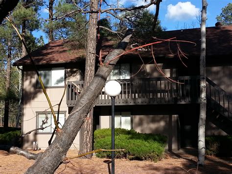 Maybe you would like to learn more about one of these? Pinetop Arizona Vacation Cabin Rentals Show Low Arizona ...