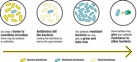 Antibiotic Resistance Just Became More Complex Scienc