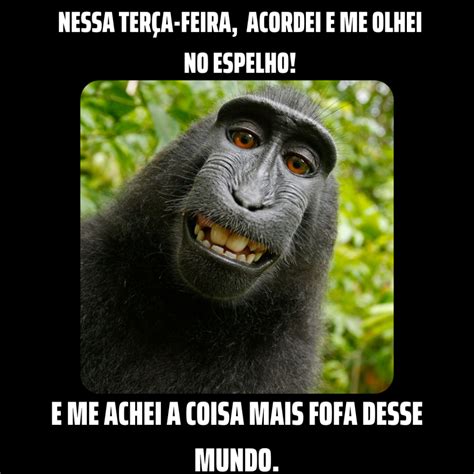 Imagens Com Frases Engraçada