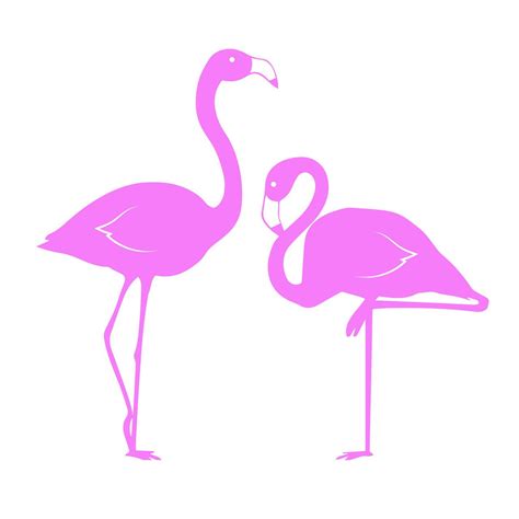 Silhouette Svg Pink Flamingo Flamingo Clipart Flamingo Svg And Png