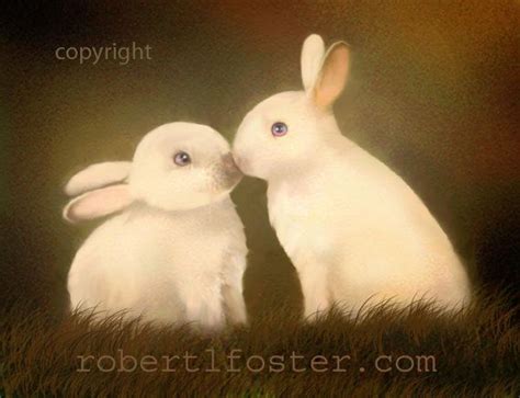 Rabbit Kiss White Rabbit Bunny Art Bunnies Kissing By Lewfoster 1700